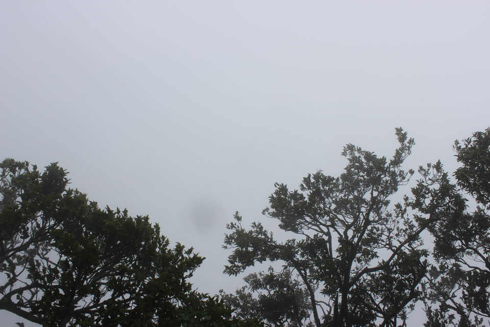 Photo of Panchgani and Mahabaleshwar for a weekend repose 7/9 by urvashi singh