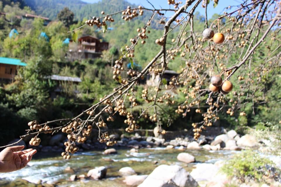Photo of The Unexplored Beauty: Gushaini by urvashi singh