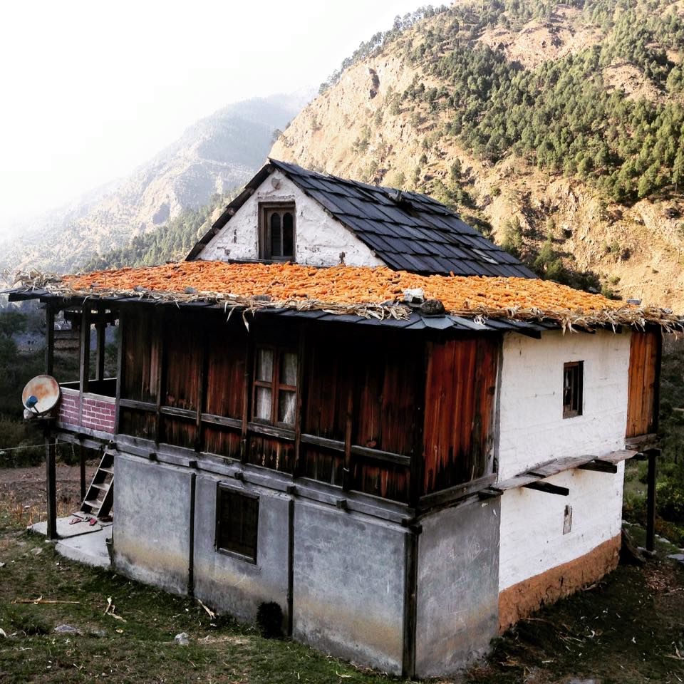 Photo of The Unexplored Beauty: Gushaini by urvashi singh