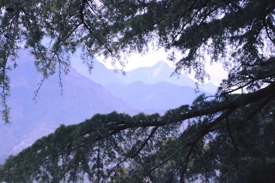 Photo of McLeod Ganj, Dharamshala, Himachal Pradesh, India by urvashi singh