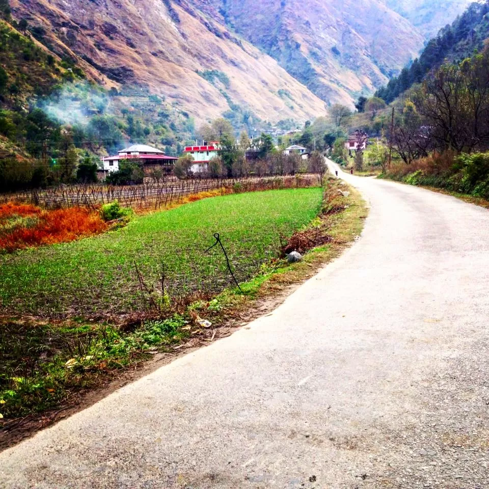 Photo of Gushaini, Himachal Pradesh, India by urvashi singh
