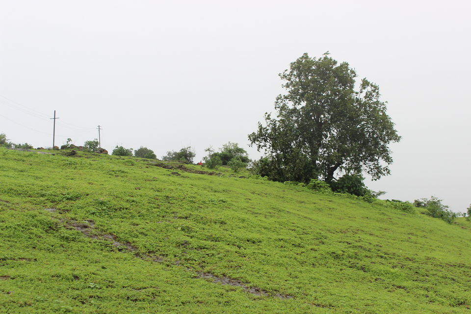 Photo of Tungarli: Somewhere between Lonavala and Khandala by urvashi singh