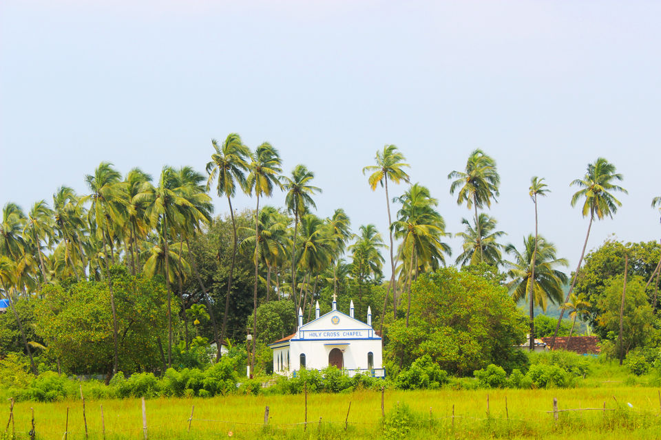 Photo of La Quinta Goa Service Apartments, Arpora, Goa, India by urvashi singh