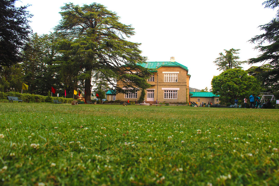 Photo of Chail Palace, Palace Rd, Chail, Himachal Pradesh, India by urvashi singh