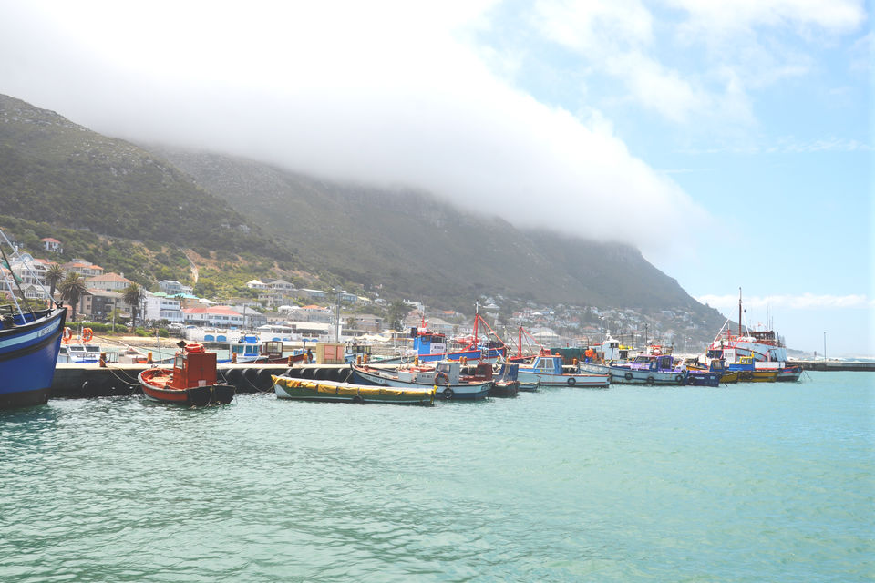 Photo of Capetown will never be enough for you 2/14 by urvashi singh