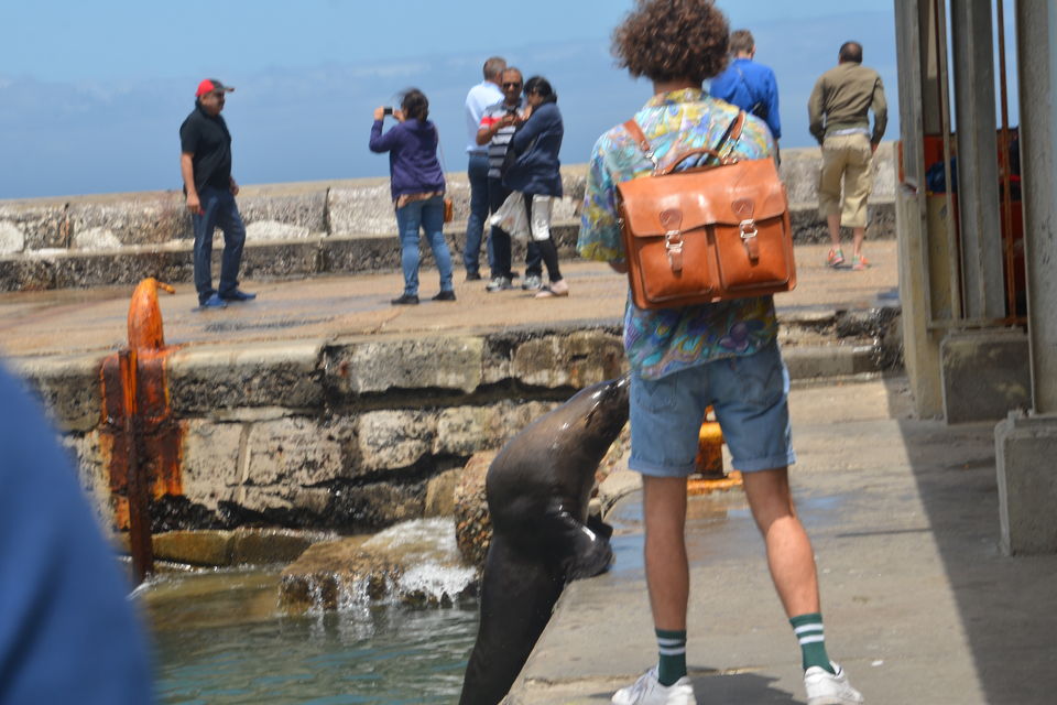 Photo of Capetown will never be enough for you 4/14 by urvashi singh