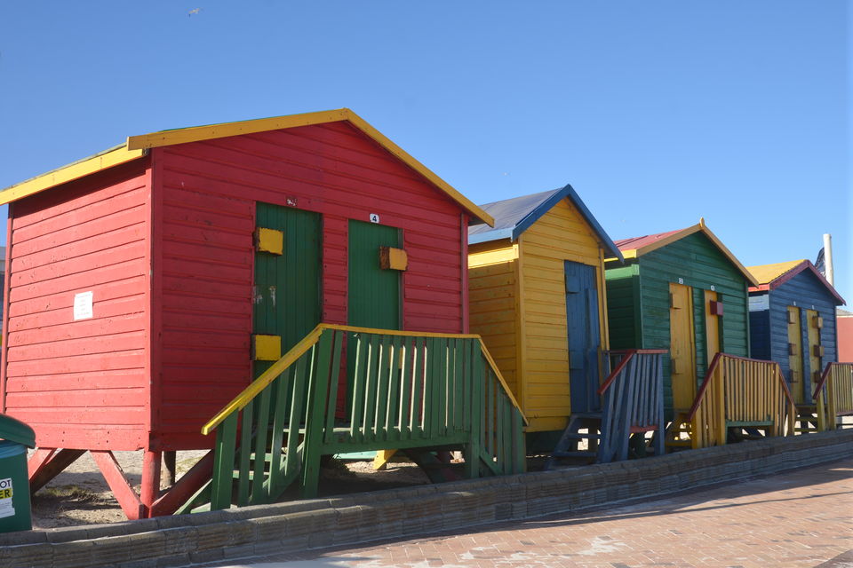 Photo of Capetown will never be enough for you 6/14 by urvashi singh