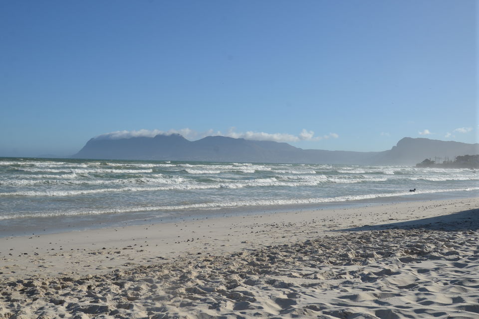 Photo of Capetown will never be enough for you 7/14 by urvashi singh