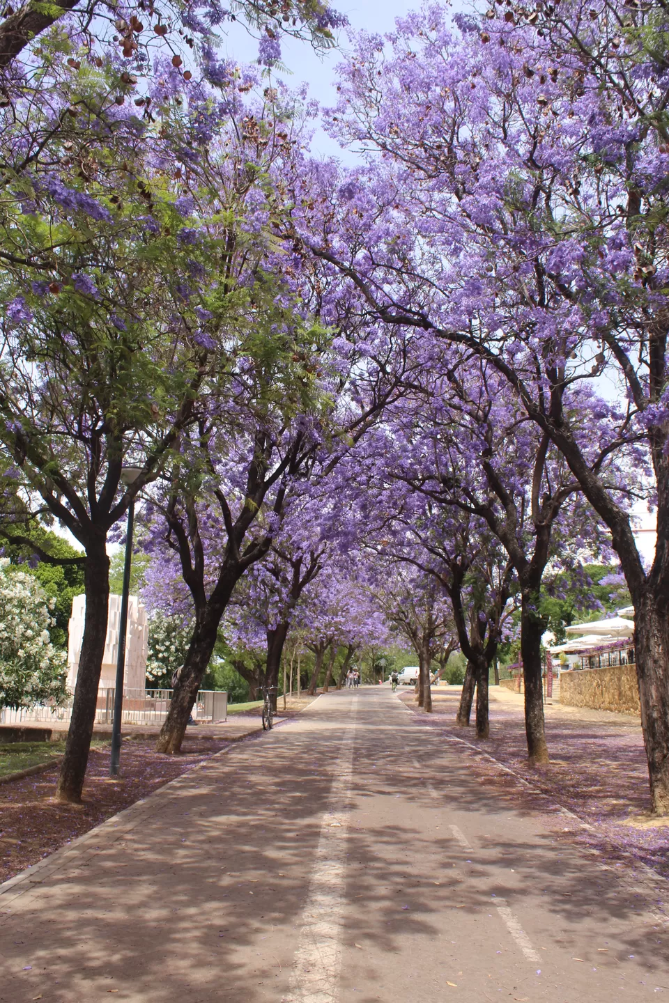 Photo of Spain in 6 Days- Barcelona, Girona, Costa Brava and Seville by urvashi singh