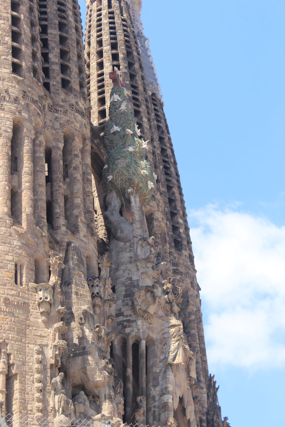 Photo of Spain in 6 Days- Barcelona, Girona, Costa Brava and Seville by urvashi singh