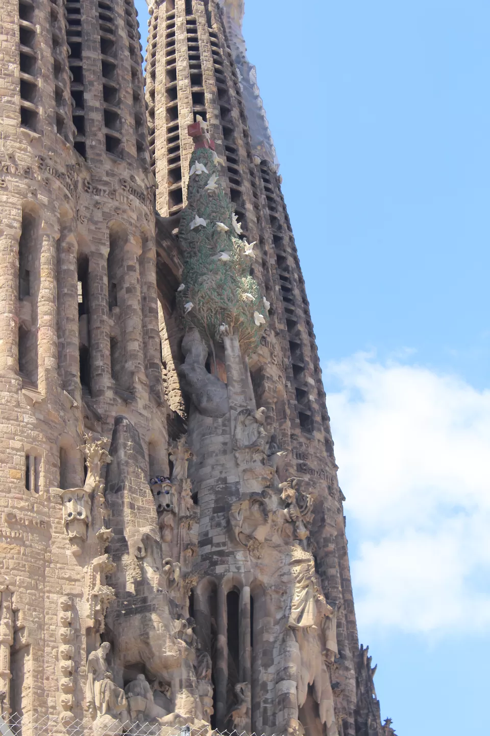 Photo of Spain in 6 Days- Barcelona, Girona, Costa Brava and Seville by urvashi singh