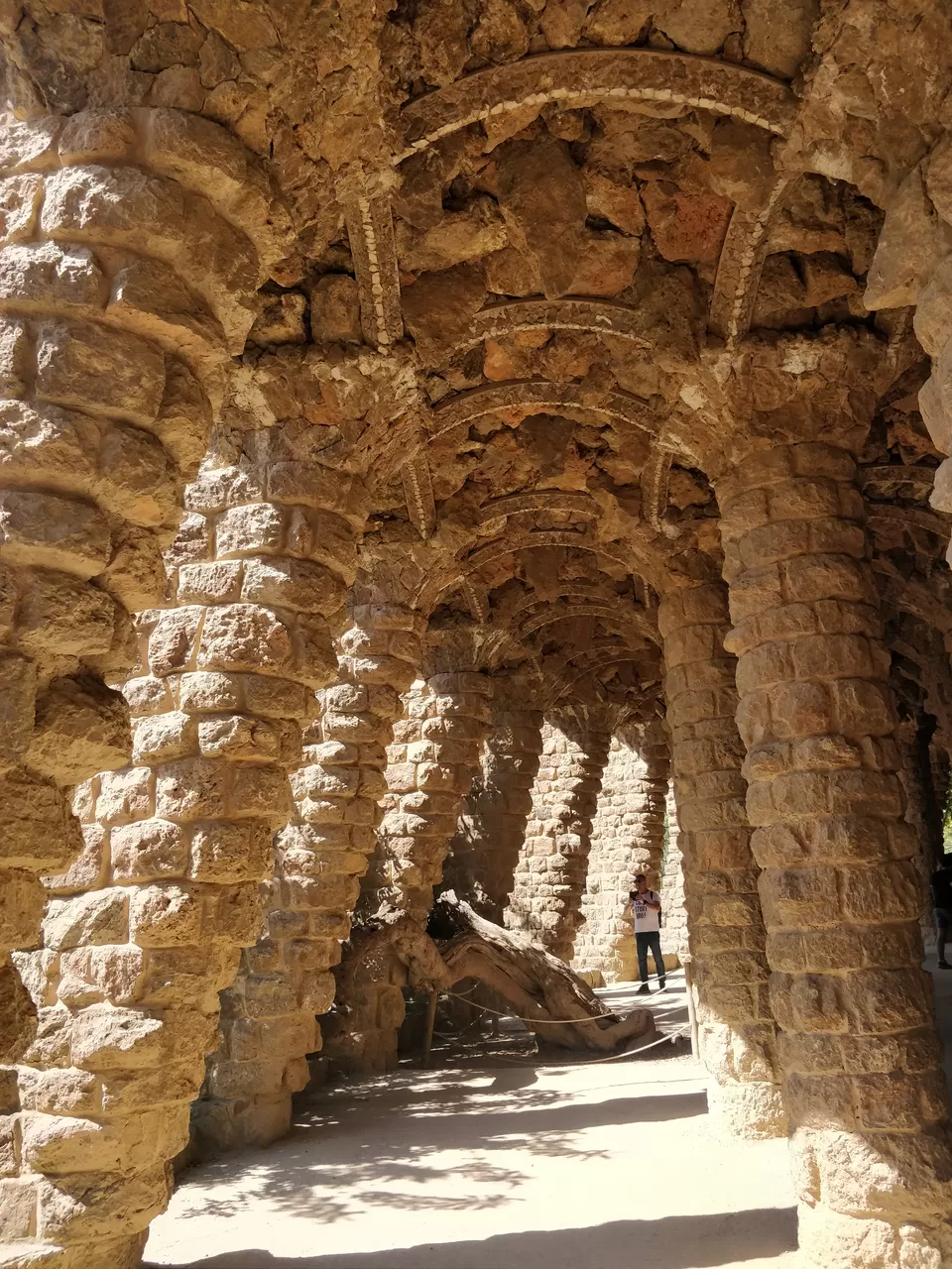Photo of Spain in 6 Days- Barcelona, Girona, Costa Brava and Seville by urvashi singh