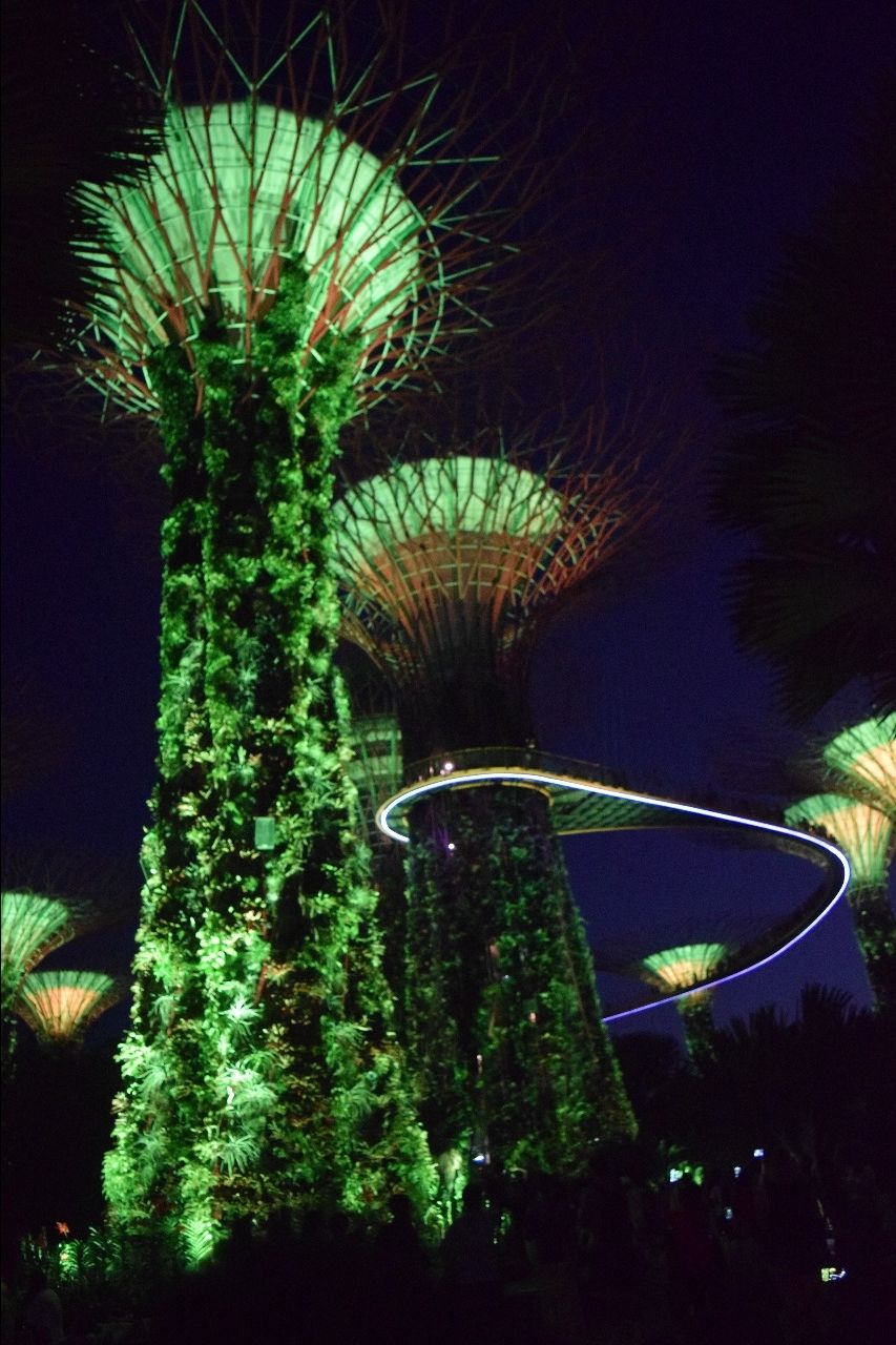 Photo of One Savvy trip to Singapore by Divya Madhusudhanan