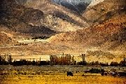 Photo of BEST OF LADAKH by Himalaya Insight Ladakh