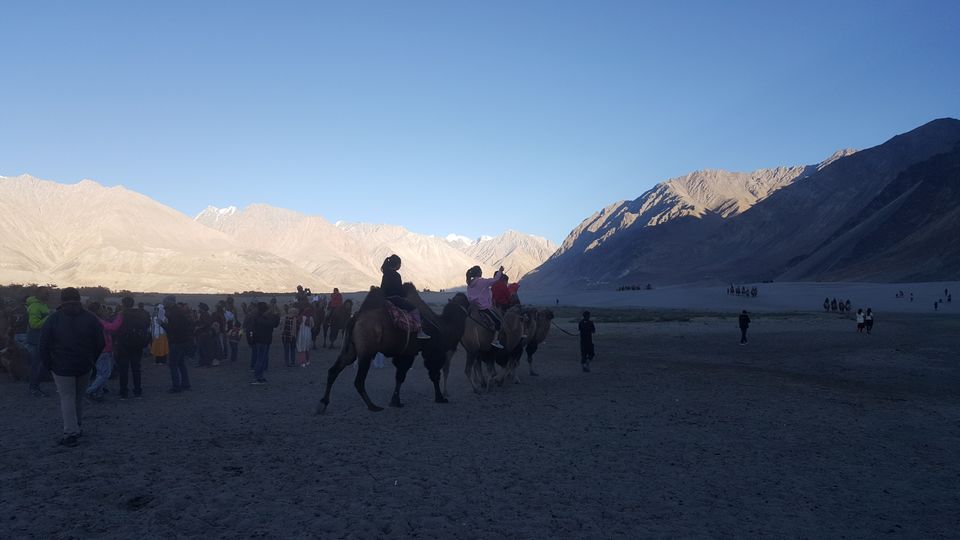 Photo of BEST OF LADAKH by Himalaya Insight Ladakh