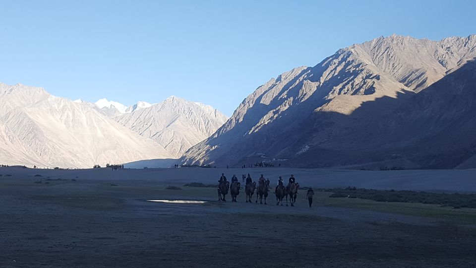 Photo of BEST OF LADAKH by Himalaya Insight Ladakh