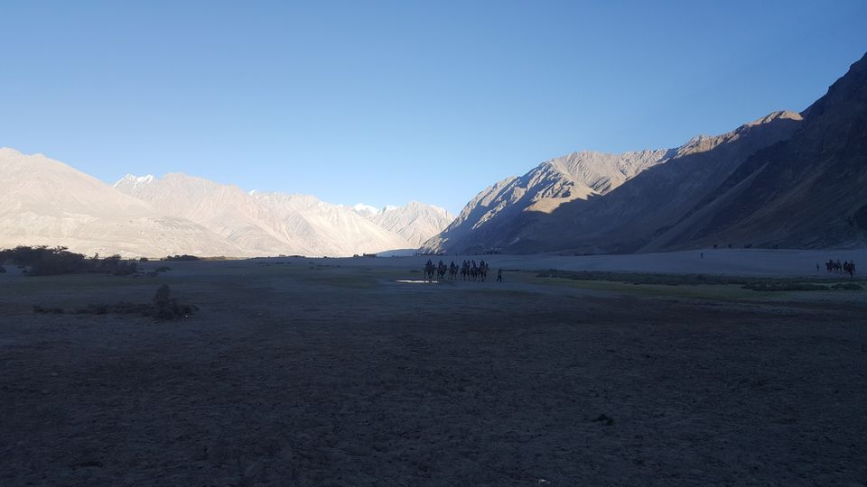 Photo of BEST OF LADAKH by Himalaya Insight Ladakh