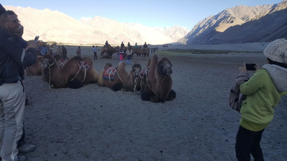Photo of BEST OF LADAKH by Himalaya Insight Ladakh