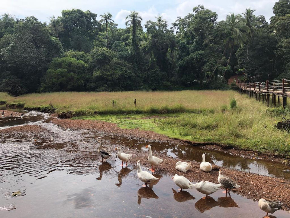 Photo of A Group Tour To Goa #ThatOneTimeInGoa by Anuja Bhatnagar