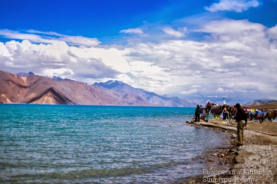 Photo of Ladakh Diaries: Pangong Tso-Canvas Of The Sky 3/10 by srishti jugran