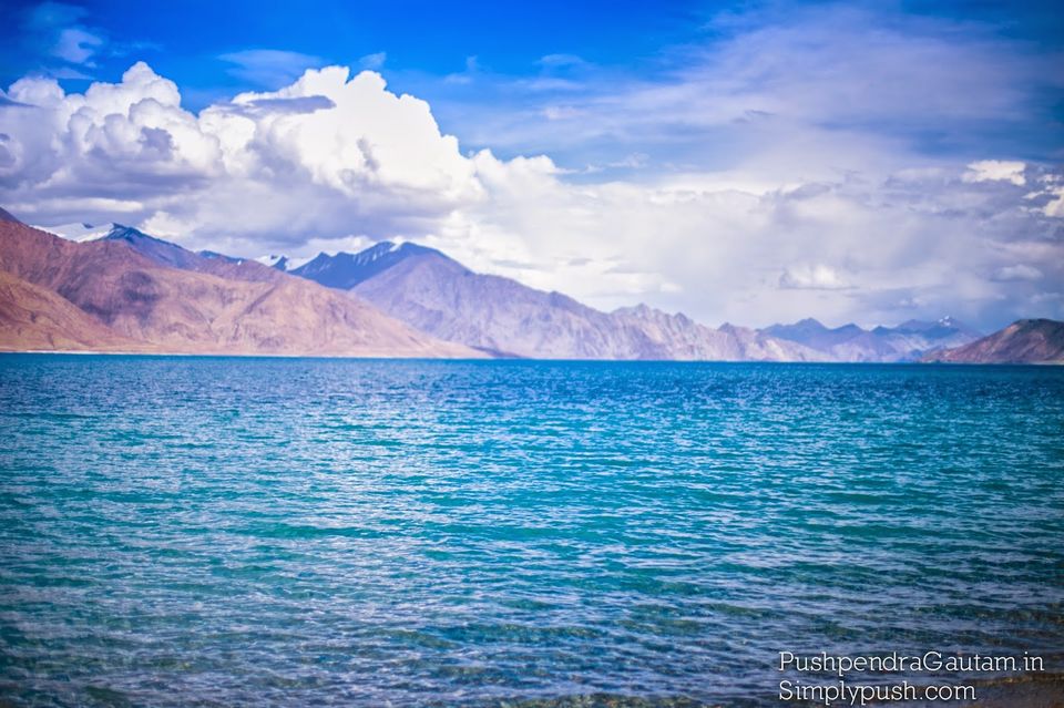 Photo of Ladakh Diaries: Pangong Tso-Canvas Of The Sky 6/10 by srishti jugran