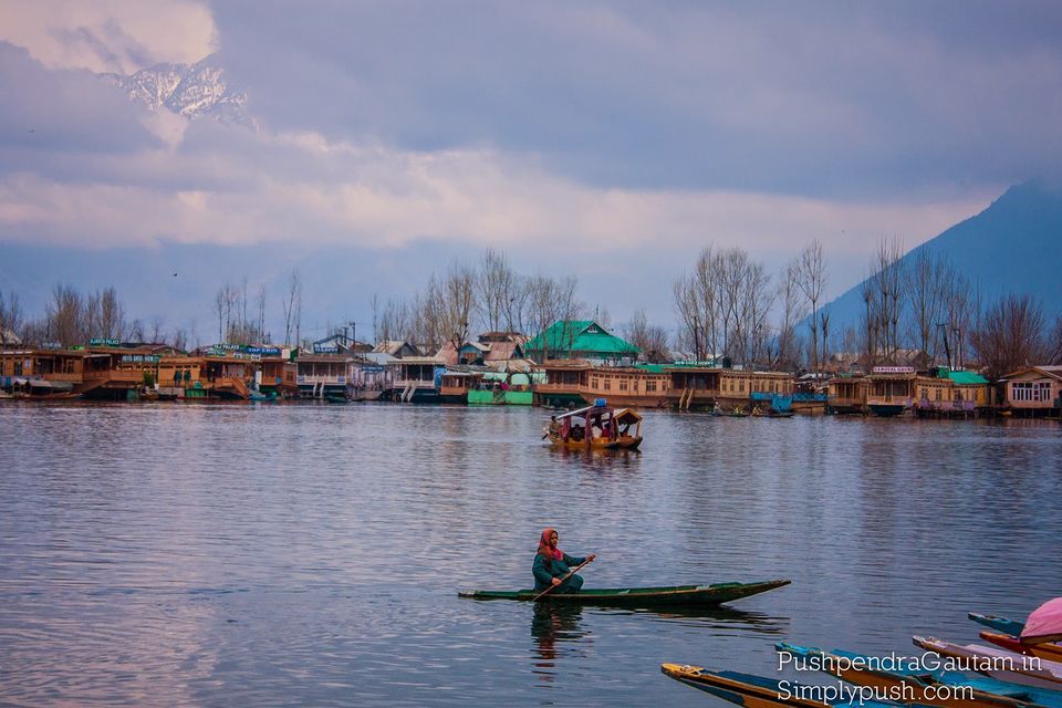 Photo of Jannat-e-Kashmir: A heavenly trail of Srinagar by srishti jugran