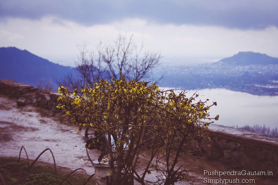 Photo of Jannat-e-Kashmir: A heavenly trail of Srinagar by srishti jugran