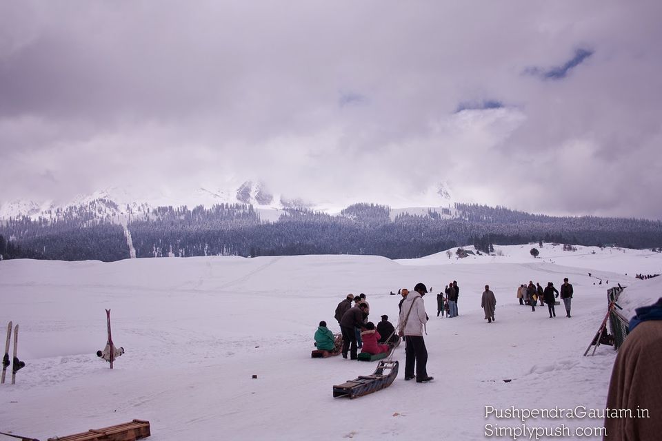 Photo of Jannat-e-Kashmir: The Golden Meadow 3/19 by srishti jugran