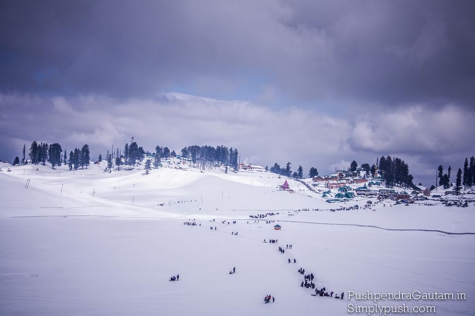 Photo of Jannat-e-Kashmir: The Golden Meadow 5/19 by srishti jugran