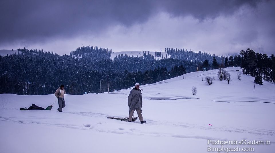 Photo of Jannat-e-Kashmir: The Golden Meadow 8/19 by srishti jugran