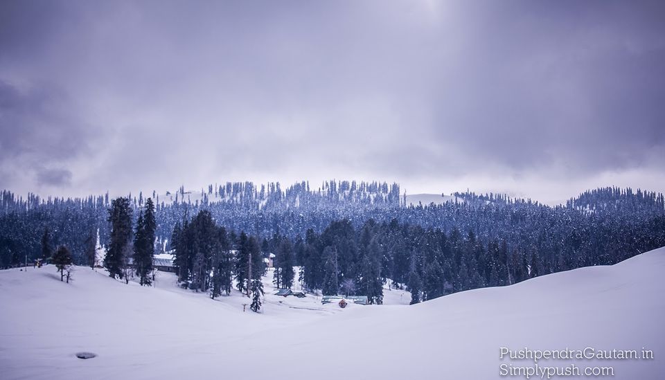 Photo of Jannat-e-Kashmir: The Golden Meadow 10/19 by srishti jugran