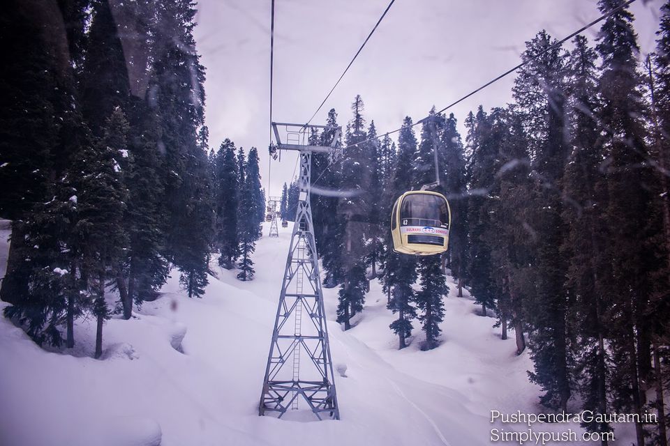 Photo of Jannat-e-Kashmir: The Golden Meadow 11/19 by srishti jugran