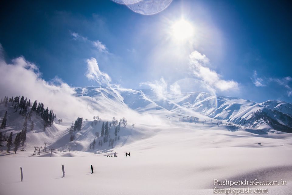 Photo of Jannat-e-Kashmir: The Golden Meadow 16/19 by srishti jugran