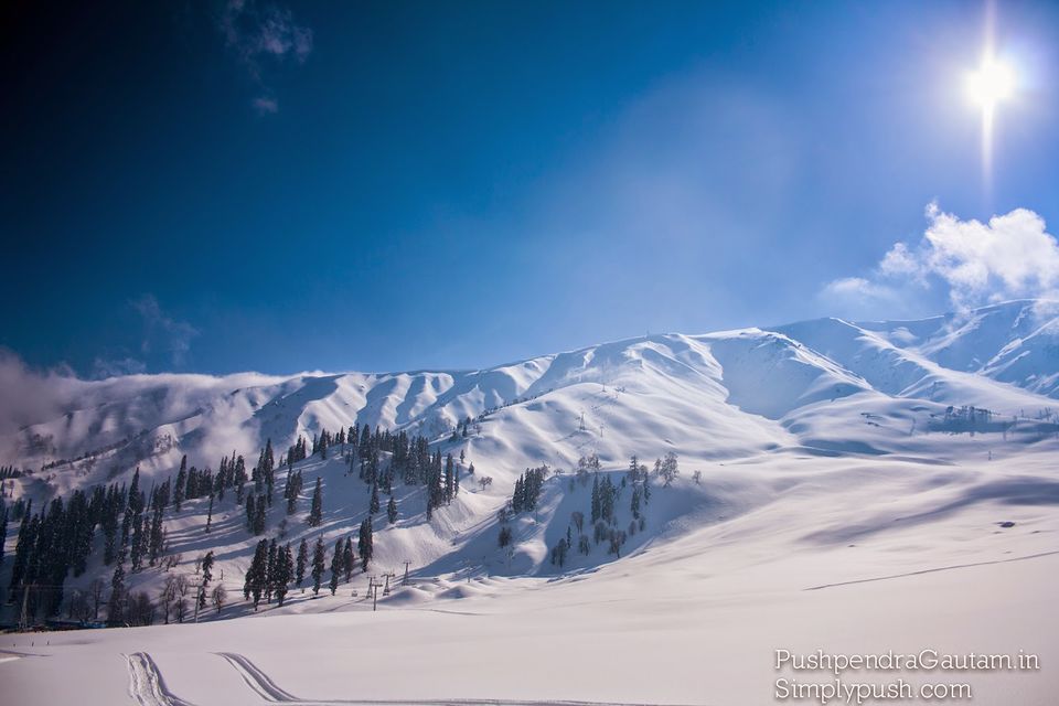 Photo of Jannat-e-Kashmir: The Golden Meadow 17/19 by srishti jugran