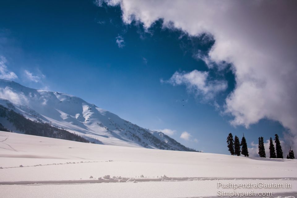 Photo of Jannat-e-Kashmir: The Golden Meadow 18/19 by srishti jugran
