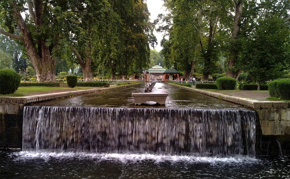 Photo of Jannat-e-Kashmir: A heavenly trail of Srinagar by srishti jugran
