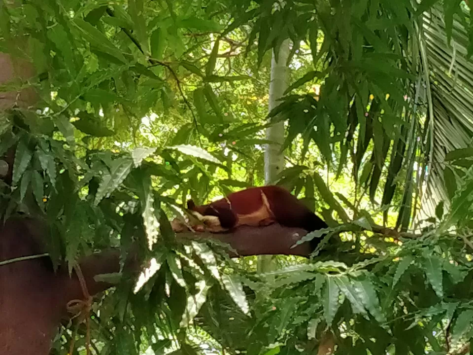 Photo of Tirumala, Tirupati, Andhra Pradesh, India by TANAY AGRAWAL