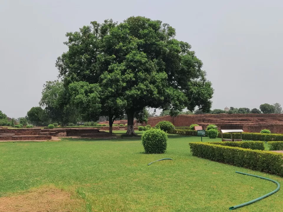 Photo of Bihar by Stuti Prasad