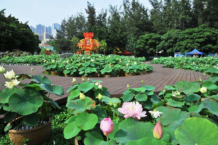 Photo of #ADreamComeTrue #20ThingsILoveAboutMacau #TripotoCommunity 17/20 by Pragya Rawat