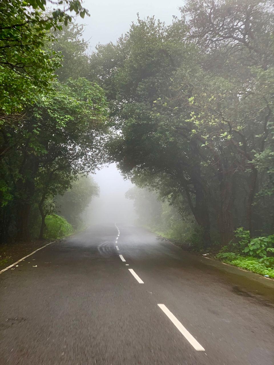Photo of Lonavala Looks Stunning by jayanth reddy