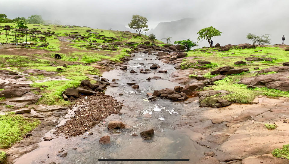 Photo of Lonavala Looks Stunning by jayanth reddy