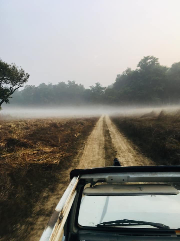 Photo of Dudhwa National Park, Palia Kalan, Uttar Pradesh, India by Rahul Asthana