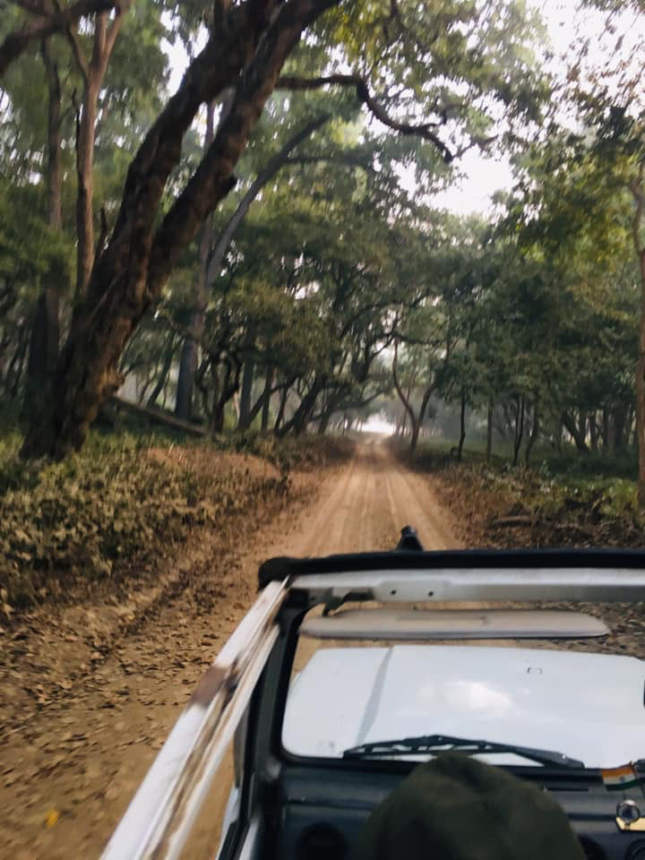 Photo of Dudhwa National Park, Palia Kalan, Uttar Pradesh, India by Rahul Asthana