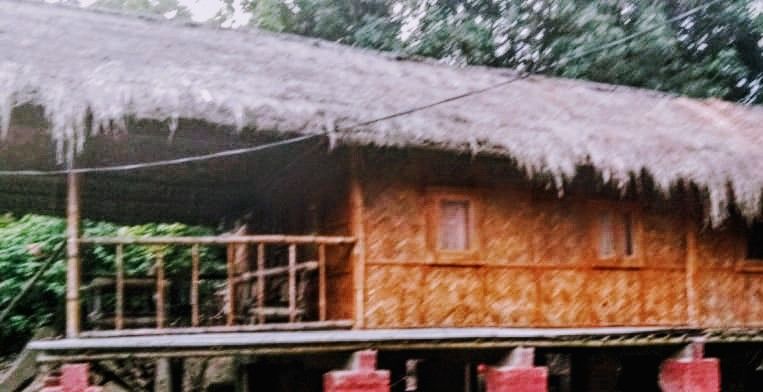 Photo of Trip to Majuli, Assam, India by Bijoyinee sarma