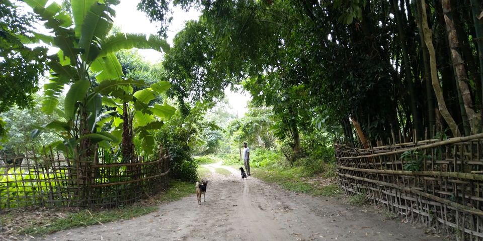 Photo of Mepo Okum Eco Camp, Patharichuk N.C., Assam, India by Bijoyinee sarma