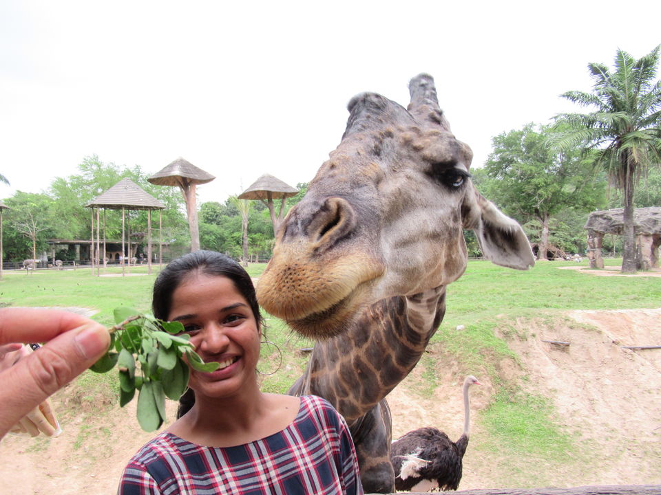 Photo of Ladies & Gentleman.. Thailand Diaries.! by Aju Thottungal