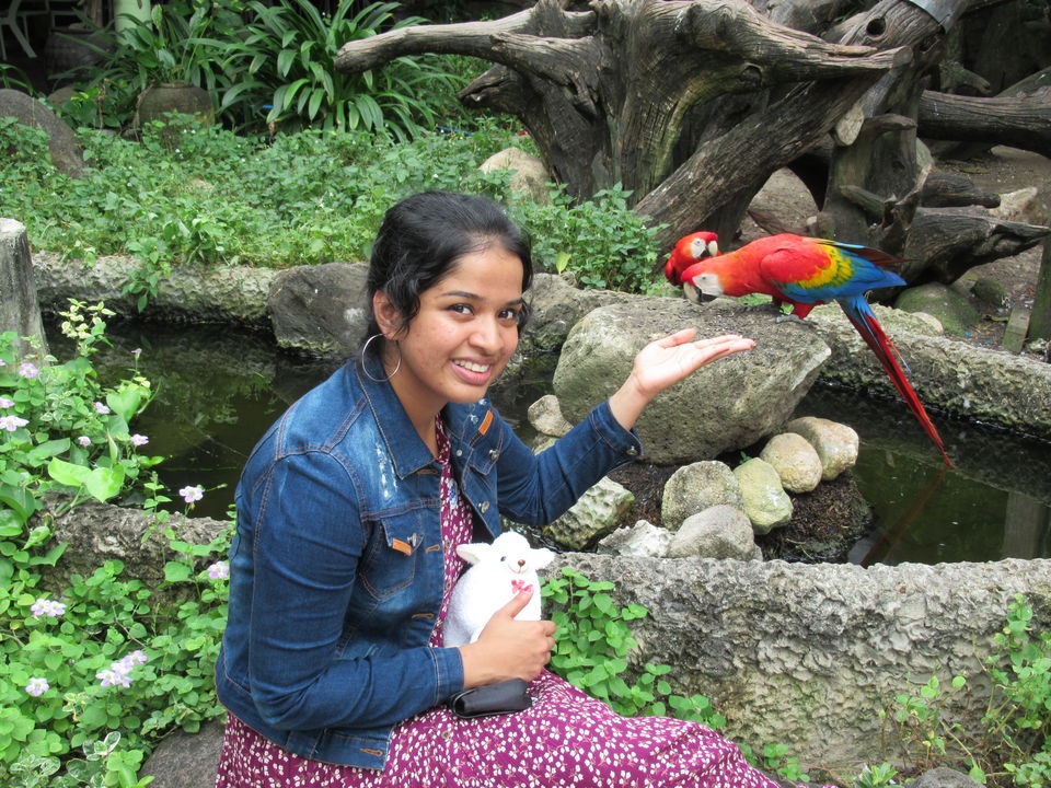Photo of Ladies & Gentleman.. Thailand Diaries.! by Aju Thottungal