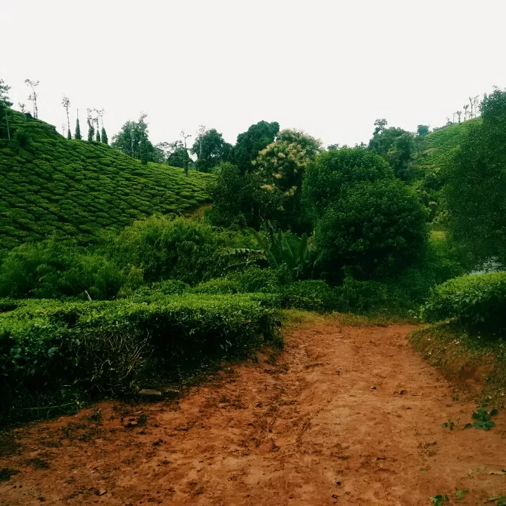 Photo of Coorg, Karnataka, India by Akshu 