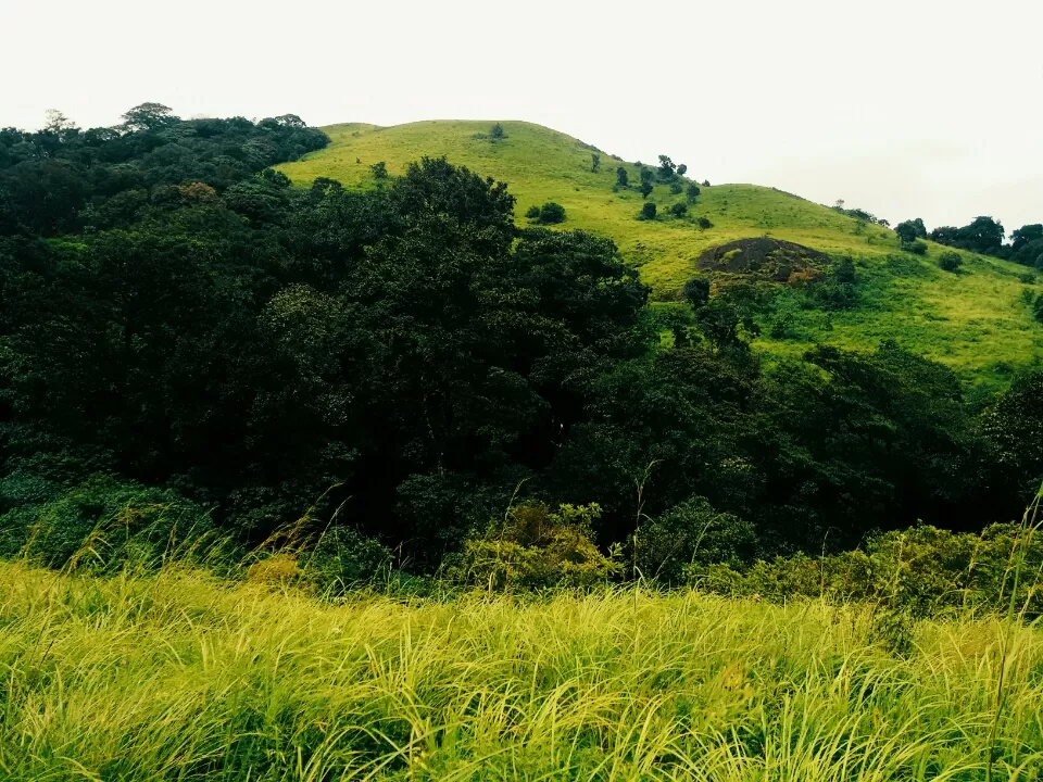 Photo of Coorg, Karnataka, India by Akshu 