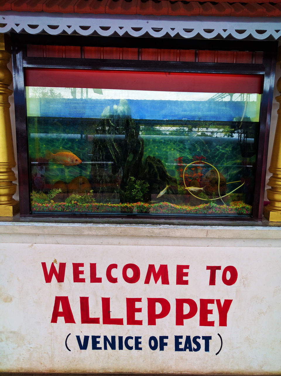 Photo of Kerala Diaries-> Alleppey - Kumarakom 1/41 by Shivang Kapoor